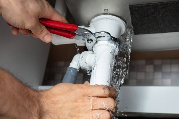Best Mold removal after water damage  in Franklin, GA