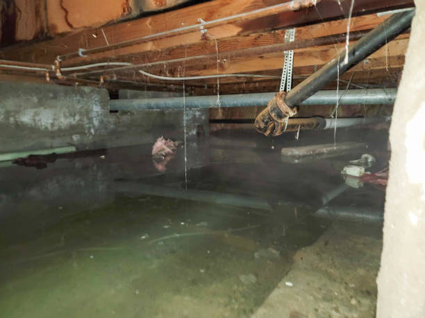 Best Commercial water damage restoration  in Franklin, GA