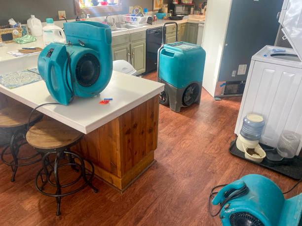 Best 24-hour water damage restoration  in Franklin, GA