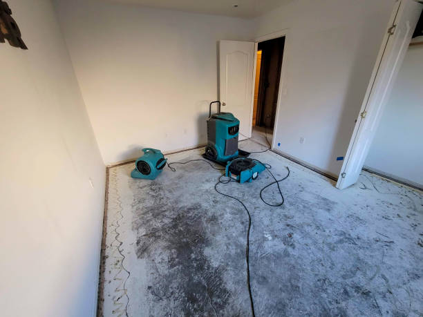 Best Flood damage cleanup  in Franklin, GA