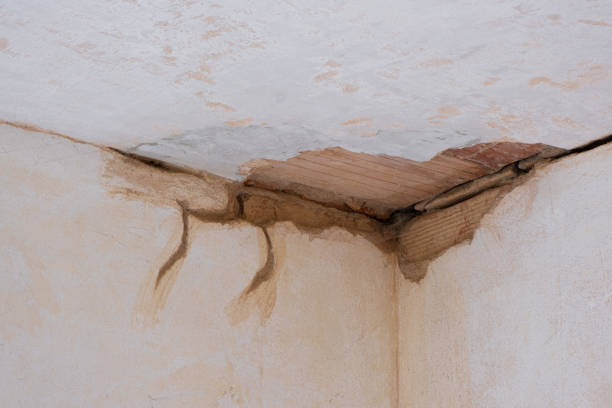 Best Water damage restoration near me  in Franklin, GA