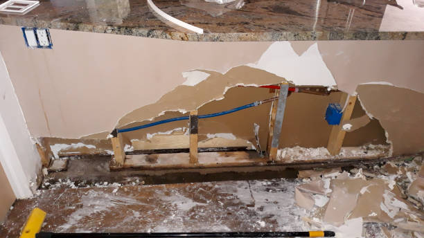 Best Local water damage restoration  in Franklin, GA