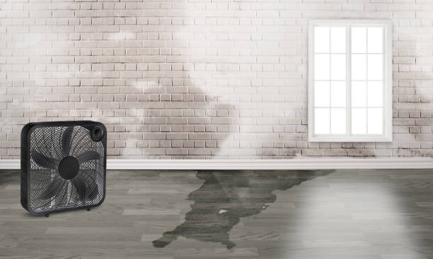 Best Fire Damage Restoration  in Franklin, GA