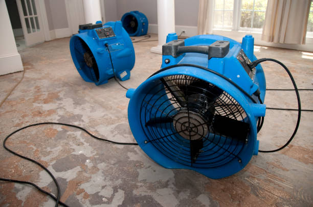  Franklin, GA Water damage restoration Pros