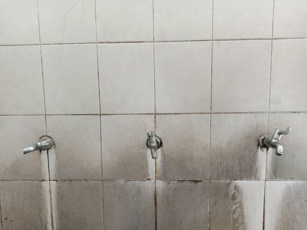 Best Water damage restoration near me  in Franklin, GA