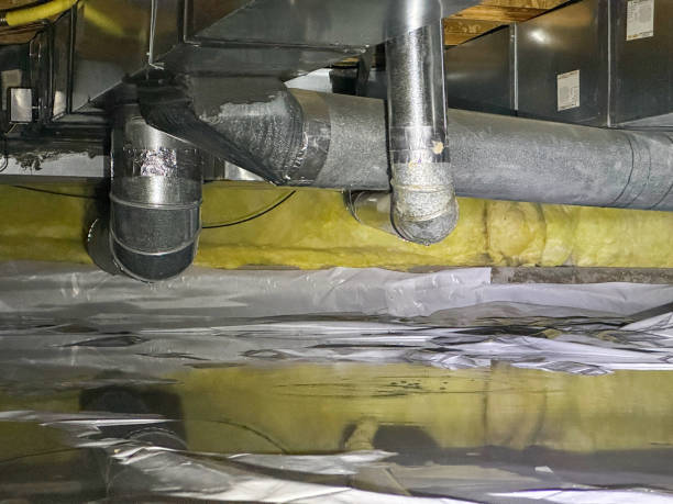 Best Flood restoration services  in Franklin, GA