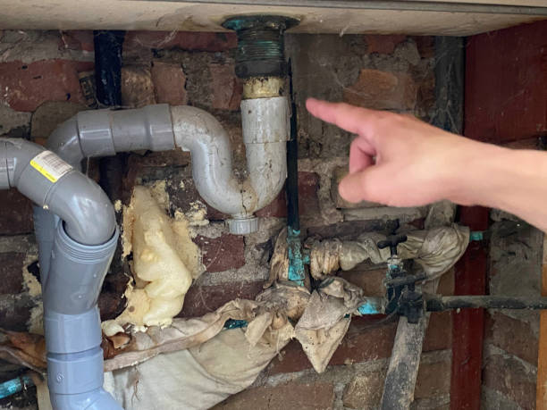  Franklin, GA Water damage restoration Pros