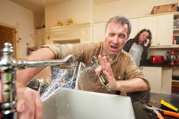 Best Flooded house restoration  in Franklin, GA